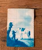 Ansichtkaart Het witte paard, Verzamelen, Ansichtkaarten | Themakaarten, 1940 tot 1960, Gelopen, Ophalen of Verzenden, Cultuur en Media