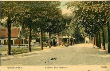 (300-136-029) Groningen Entree Sterrebosch beschikbaar voor biedingen