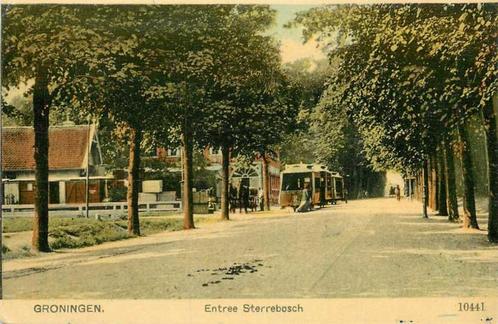 (300-136-029) Groningen Entree Sterrebosch, Verzamelen, Ansichtkaarten | Nederland, Groningen, Verzenden