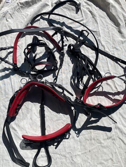 Mini Shetlandertuig nieuw!! Men tuig, Dieren en Toebehoren, Paarden en Pony's | Hoofdstellen en Tuigage, Nieuw, Overige soorten