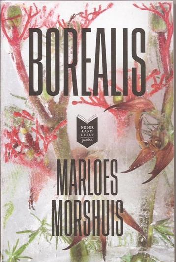 Marloes Morshuis Borealis beschikbaar voor biedingen