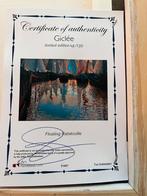 Ton Dubbeldam Giclée 43/120, Ophalen