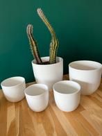 Mica moderne basic witte bloempotten, Ophalen, Kunststof, Rond, Zo goed als nieuw