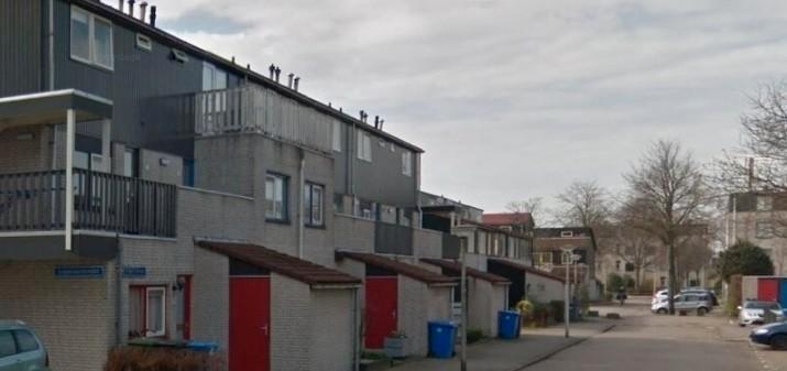 Studio, huis, te huur, Rent. Delft, house, room, 01-10-2025, Huizen en Kamers, Huizen te huur, Studio