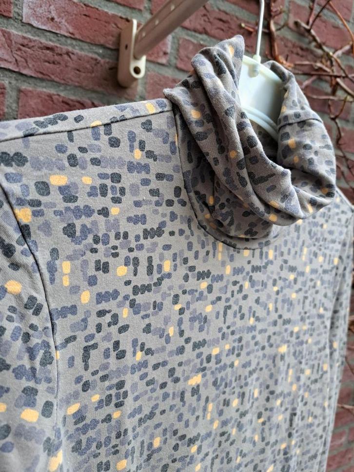 2 pully's van Terre Bleue  maat 38, Kleding | Dames, T-shirts, Zo goed als nieuw, Maat 38/40 (M), Bruin, Lange mouw, Ophalen of Verzenden