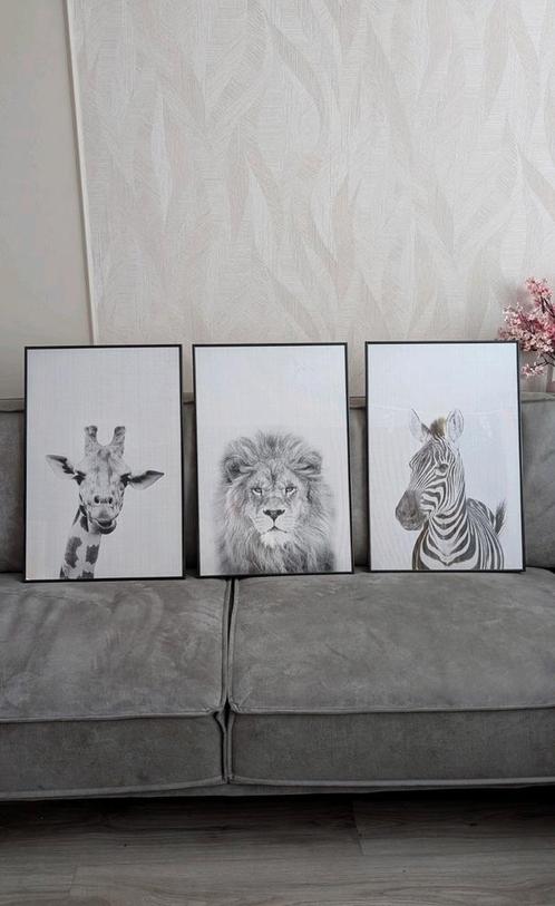 Wanddecoratie - 40x60 cm - Set van 3 - Leeuw, Giraf & Zebra, Huis en Inrichting, Woonaccessoires | Lijsten, Zo goed als nieuw