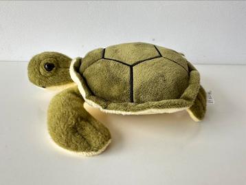 Knuffel schildpad 20 cm / Albert Heijn