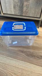 Plastic transport aquarium, Dieren en Toebehoren, Vissen | Aquaria en Toebehoren, Ophalen of Verzenden, Zo goed als nieuw, Leeg aquarium