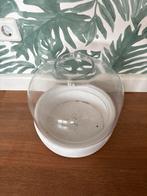Glazen stolp voor plantenarrangement, Ophalen of Verzenden, Zo goed als nieuw, Rond, Binnen