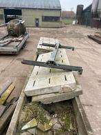 Roosters stroroosters, Januari, Mannelijk