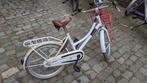 Alpina Cargo 20 inch, Fietsen en Brommers, Fietsen | Meisjes, Ophalen, Gebruikt, Alpina, Handrem