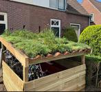 Sedum biodiversiteit matten met plantjes en kruiden, Ophalen of Verzenden, Volle zon