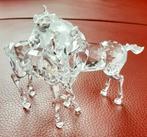 Swarovski spelende veulens, Ophalen of Verzenden, Zo goed als nieuw, Figuurtje
