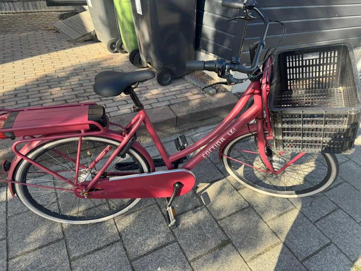 Cortina E-U4 Transport Raspberry Matt elektrische fiets, Fietsen en Brommers, Elektrische fietsen, Gebruikt, Cortina, 55 tot 59 cm