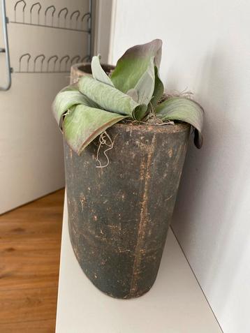 Vintage Bloempot Terracotta beschikbaar voor biedingen