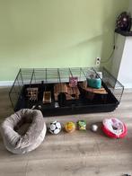 Complete set voor konijnen zo goed als nieuw, Dieren en Toebehoren, 110 cm of meer, Zo goed als nieuw, Hok, Ophalen