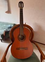 Gitaar van het Italiaanse merk Eko, Ophalen of Verzenden, Gebruikt, Klassieke of Spaanse gitaar