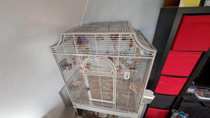 Montana Madeira III kooi inclusief speeltjes etc, Dieren en Toebehoren, Vogels | Hokken en Kooien, Gebruikt, Vogelkooi, Metaal