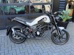 Benelli NAKED BIKE LEONCINO 125 A1| LED| 2025| NIEUW| WIT| 6, Motoren, Motoren | Benelli, Bedrijf, 125 cc