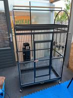 ZEER MOOIE EN NETTE KOOI TE KOOP!, Dieren en Toebehoren, Vogels | Hokken en Kooien, Ophalen of Verzenden, Zo goed als nieuw, Vogelkooi