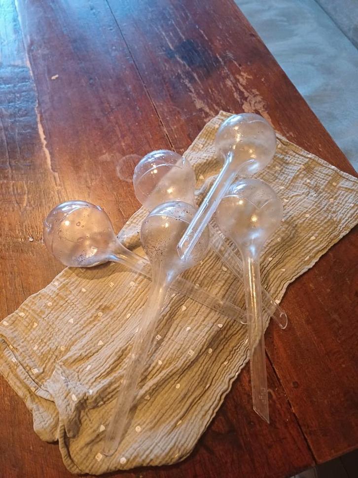 Glazen Planten Waterbollen - Irrigatie, Tuin en Terras, Tuinstekers, Ophalen