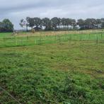 Stalling Breda, Dieren en Toebehoren, Stalling en Weidegang, Stalling