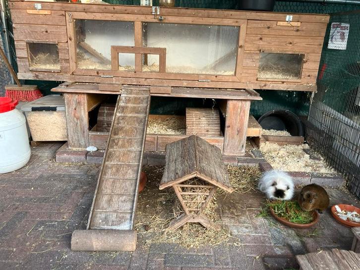 Dubbel (dwerg) konijnenhok voor binnen of buiten, Dieren en Toebehoren, Knaagdieren en Konijnen | Hokken en Kooien, Gebruikt, Hok
