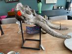 Skull groot op standaard, Huis en Inrichting, Woonaccessoires | Overige, Ophalen, Nieuw