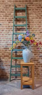 Leuke mintgroene ladder 218 cm lang !, Ophalen, Zo goed als nieuw