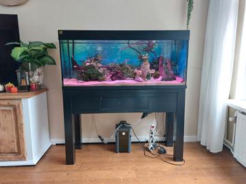Groot compleet aquarium  beschikbaar voor biedingen