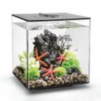 Biorp Cube 30 L aquarium zwart compleet, Dieren en Toebehoren, Vissen | Aquaria en Toebehoren, Ophalen of Verzenden, Zo goed als nieuw