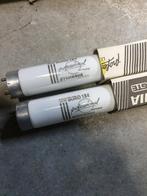 TL lamp Sylvania       36W/184 Buro warm wit, Ophalen, Zo goed als nieuw, Minder dan 50 watt, Lamp