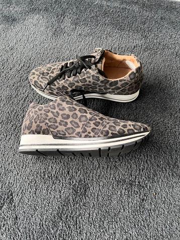 Luipaardprint Sneakers, maat 38 beschikbaar voor biedingen