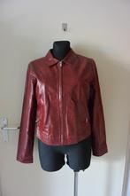 Eddy womans JKTS keren jack L d rood, Maat 42/44 (L), Ophalen of Verzenden, Eddy womans JKTS, Gedragen