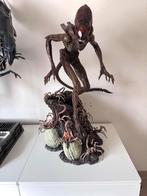 XM Studios Alien Hive-Warrior-Brown Variant Lmt Statue, Verzamelen, Beelden en Beeldjes, Ophalen, Zo goed als nieuw, Overige typen