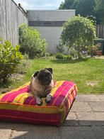 Hondenmand Dogguo maat M (Tessa v Montfoort collectie), Ophalen of Verzenden, Zo goed als nieuw