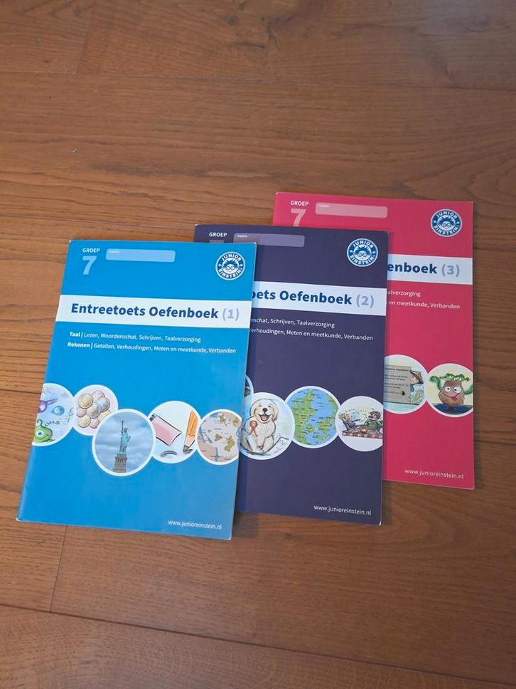 Entreetoets Oefenboeken Groep 7 - Junior Einstein, Boeken, Schoolboeken, Ophalen of Verzenden