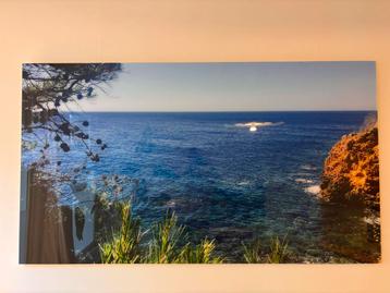 Plexiglas Foto Print op Aluminium Frame - 176x99cm beschikbaar voor biedingen