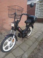 Tomos standaard merkt/ type A3, Fietsen en Brommers, Brommers | Tomos, Ophalen, Quadro