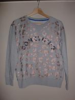 Bellerose trui maat 1 / 36, Bellerose, Ophalen of Verzenden, Maat 36 (S), Grijs