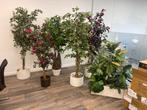 Diverse kunstplanten 6 stuks in de hoogte 1.80 meter, Huis en Inrichting, Kamerplanten, Overige soorten, In pot, Bloeiende kamerplant