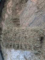 Hooibalen, hooi, kleine hooibaal, Dieren en Toebehoren, Dierenvoeding, Ophalen, Vee