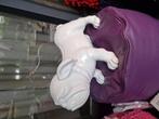 Bulldog franse bulldog decoratie wit hoogglans zwaar, Ophalen of Verzenden, Zo goed als nieuw