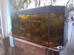 270 liter aquarium met guppen en Eheim pomp, Ophalen of Verzenden, Zo goed als nieuw, Gevuld zoetwateraquarium