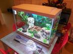 compleet ingerichte mooie SuperFish Start 100 Tropical Kit, Ophalen, Zo goed als nieuw, Leeg aquarium