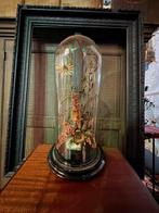 Antieke stolp met droogboeket en jaren 70 vaasje, Ophalen