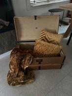 Antieke Hutkoffer/Scheepskoffer - Reizen Opa's Opa, Ophalen, Gebruikt, 50 tot 100 cm, Minder dan 50 cm