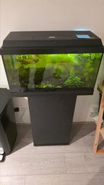 Mooie mix garnalen bak met onderkast., Dieren en Toebehoren, Vissen | Aquaria en Toebehoren, Ophalen, Gebruikt, Gevuld zoetwateraquarium