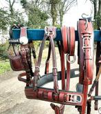 🔴 NIEUW PROFESSIONEEL FULL MAAT ENKELSPAN TUIG 450.E. 🔴, Dieren en Toebehoren, Ophalen of Verzenden