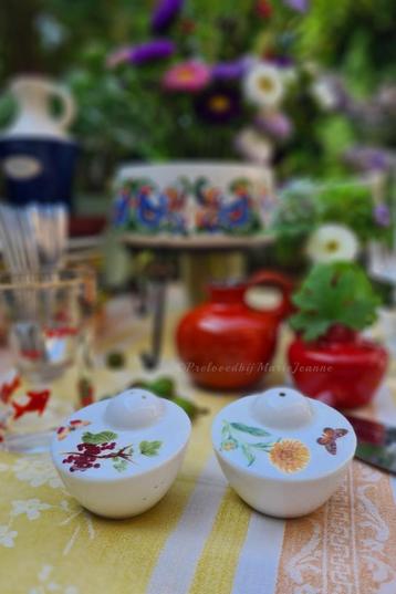 porselein zout-peper stel, decor garden  beschikbaar voor biedingen